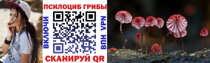 Псилоцибиновые грибы MAGIC MUSHROOMS  Белёв 