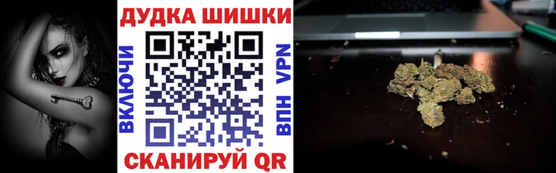 где найти   Белёв  Бошки Шишки планчик 